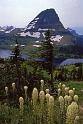 Glacier NP Aug-1990 Beargrass and Bearhat Mtn